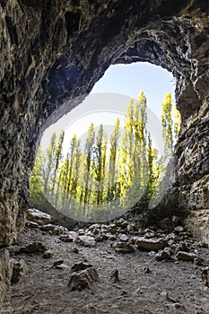 Vertical shot of a cave with trees on the background in the Senda de la Vega park in Segovia, Spain photo