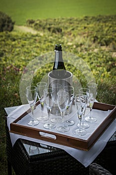 Vertical shot of a champagne bottle in an ice bucket with flutes on a tray outdoors