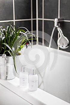 Vertical shot of champoos and a bucket with green plants on the bath
