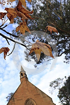 Vertical shot of a chapel surrounded by autumn trees