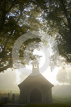 Vertical shot of a chapel and trees on a foggy day