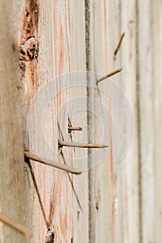 Vertical shot, close-up of old rusty nails sticking out of dark old boards, wood texture, vintage tone surface