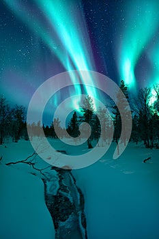 Vertical shot of the colorful Northern lights in the sky in a rural area