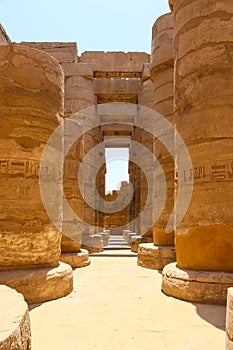 Vertical shot of the columns of Great Hypostyle Hall in Luxor Karnak temple, Egypt