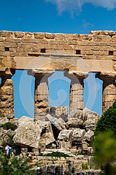 Vertical shot of columns of Temple E at Selinus in Sicily, also known as the Temple of Hera. Italy.