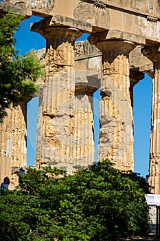 Vertical shot of columns of Temple E at Selinus in Sicily, also known as the Temple of Hera. Italy.