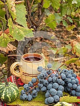 Vertical shot of the  concord grapes, wine, and pumpkin on a red tablecloth