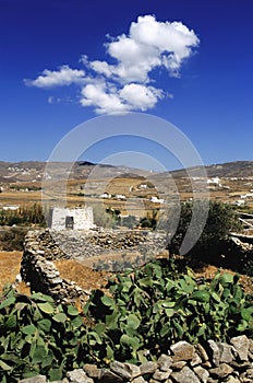 Vertical shot of a countryside at Mykonos Island, Greece with typical stone walls on a sunny day