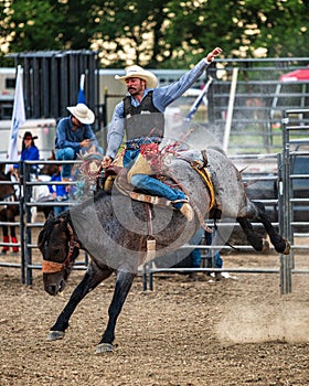 Vertical shot of a cowboy bronco riding at the Wyandotte County Kansas Fair Rodeo