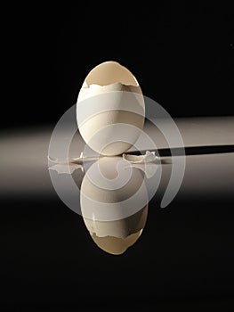 Vertical shot of a cracked empty egg shell reflecting on the table under the lights