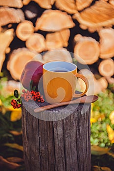 Vertical shot of a cup of coffee with fruits on a wooden log in a garden under the sunlight