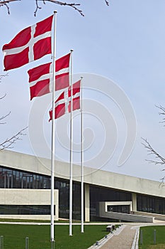 Vertical shot of Danish flags on poles near the Moesgaard Museum in Arhus