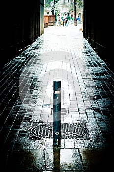 Vertical shot of a dark alley wet cobblestone floor after a rain