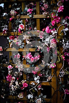 Vertical shot of decorative flowers wrapped over a wooden latticed door