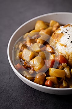 Vertical shot of delicious Japanese curry in a white ceramic bowl with a plenty of copy space