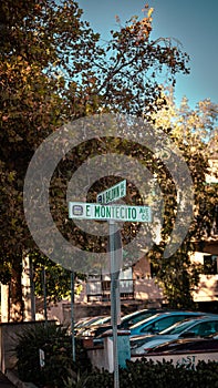 Vertical shot of direction signs on a street with cars