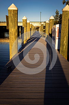 Vertical shot of a dock on the intercostal waterway in Florida, USA