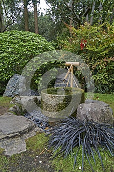 Vertical shot of a drinking fountain in a cozy garden