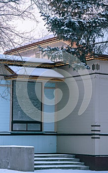 Vertical shot of an elegant modern suburban house enveloped by a layer of snow