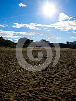 Vertical shot of the empty beach at the Cap d`Agde