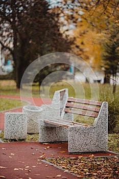 Vertical shot of an empty bench and park walkway with autumnal leaves