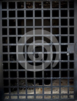 Vertical shot of an empty cage door with a metal lock