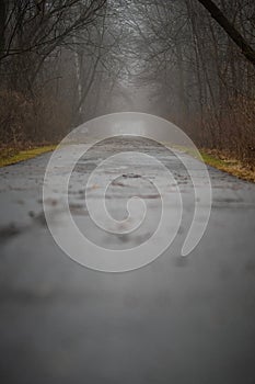 Vertical shot of an empty walking path surrounded by the trees