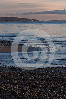 Vertical shot of evening lanscape in Picnic Point area