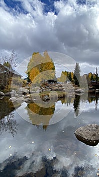 Vertical shot of a fall landscape by a lake in Breckenridge, Colorado