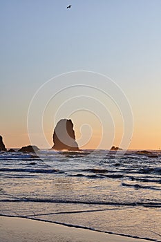 Vertical shot of the famous Haystack Rock on the rocky shoreline of the Pacific Ocean