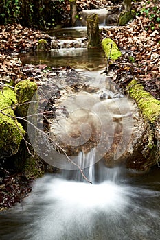 Vertical shot of a fast-flowing river stream with smooth silky water in the forest