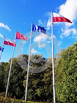 Vertical shot of the flags of Poland, EU, and Danzig in a park in Westerplatte, Poland