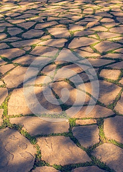 Vertical shot of a flagstone path