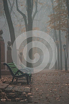 Vertical shot of foggy park with an empty wooden bench during autumn
