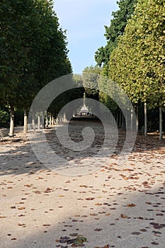 Vertical shot of a footpath passing through trees in the Garden of Plants in Paris photo