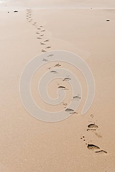 Vertical shot of the footprints of a man on the desert sand on a sunny day