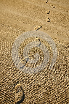 Vertical shot of footprints in the sand on a beach