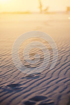 Vertical shot of footprints in a sandy shore with a bright background - concept footprint poem