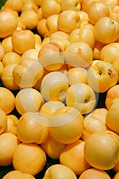 Vertical shot of fresh ripe yellow plums