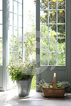 Vertical shot of freshly picked flowers and plants in a basket and a bucket near a front door