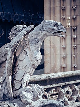 Vertical shot of  gargoyles of Notre Dame Cathedral, Paris France