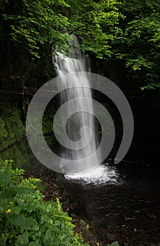 Vertical shot of the Glencar Waterfall in a forest in Ireland