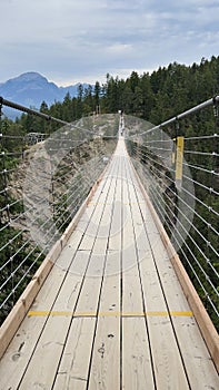 Vertical shot of Golden Skybridge with a green cliff in the background. Golden, BC, Canada.