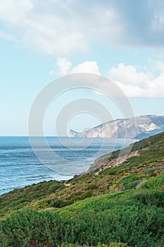 Vertical shot of a green-covered coast of the sea under the cloudy sky