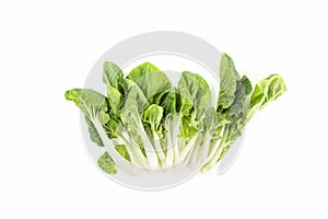 Vertical shot of green leafy vegetables isolated on a white background