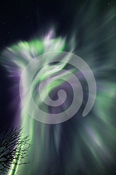 Vertical shot of the green-purple polar Aurora lights in a starry sky in Levi, Lapland, Finland