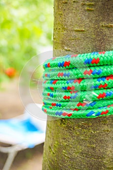 Vertical shot of a green rope wrapped around a tree