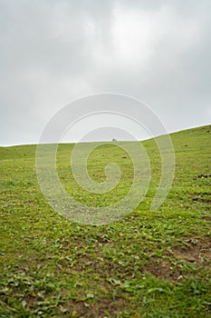 Vertical shot of the green rural fields of Gulmarg, Baramulla, Jammu and Kashmir, India