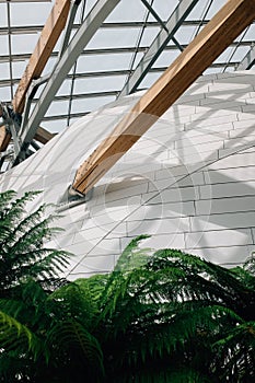 Vertical shot of green shrubs against a modern Louis Vuitton Foundation building with glass ceiling photo