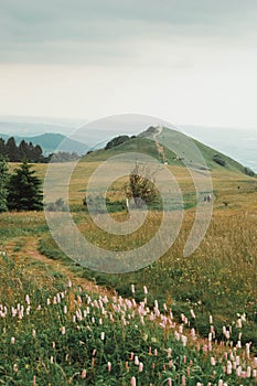 Vertical shot of the green valley with a hiking path in the background of a meadow